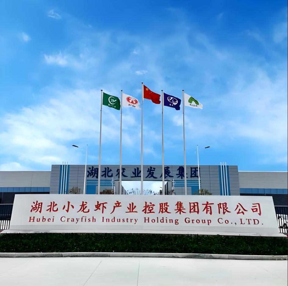 湖北小龙虾控股集团总部办公楼